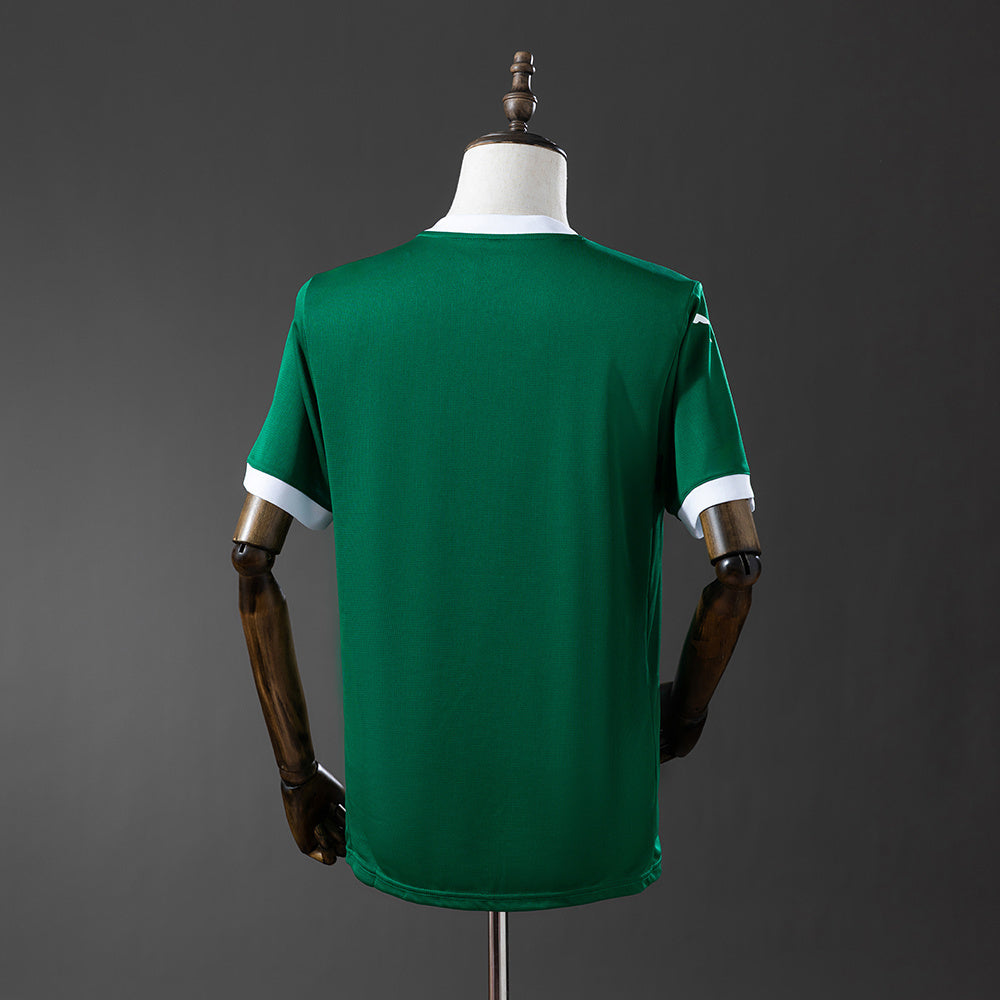 Maglia ufficiale Palmeiras 25/26 Home Fan Version